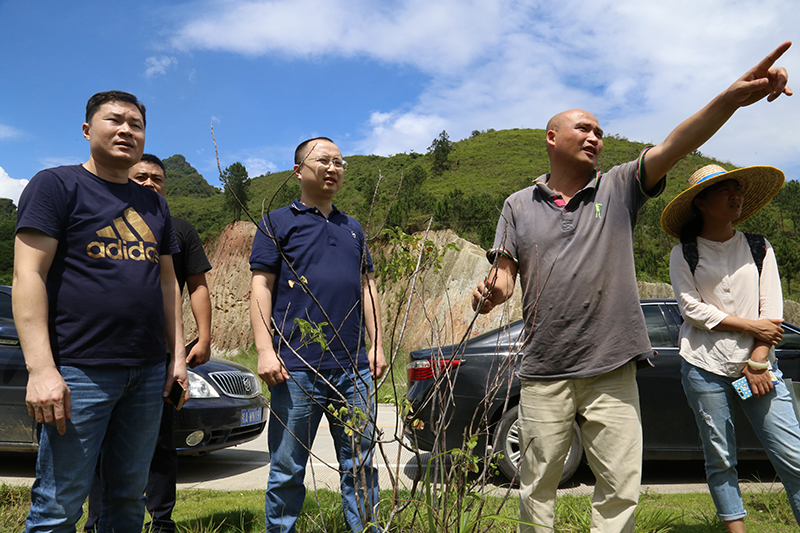 威宁邻家公司现场调研云灵村可流转土地.JPG